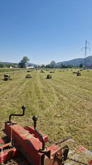 Baloti fân și lucernă  - imagine 2