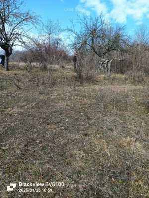 Teren extravilan 500 mp super vedere - imagine 5