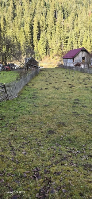 Teren la munte - imagine 3