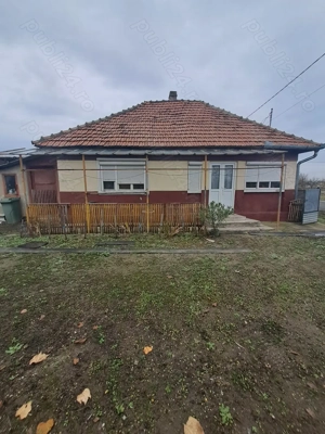 Vând casa în comuna Apa  - imagine 6