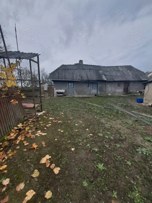 Vând casa în comuna Apa  - imagine 9