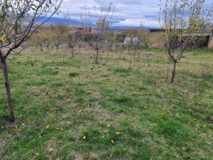 Teren intravilan - imagine 2