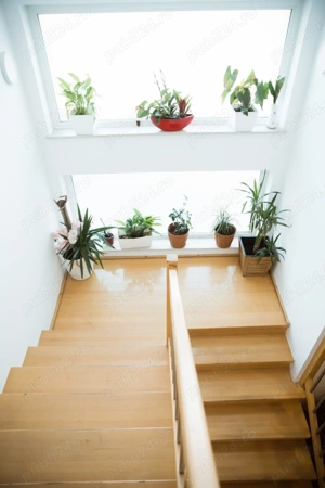 Imobil de vanzare in Chisoda - imagine 2