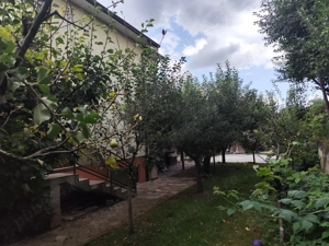 Zonă deosebită, oportunitate de investiție casă individuala in Gruia - imagine 6