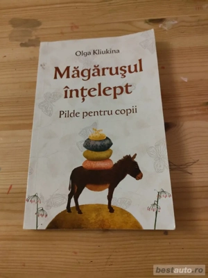 Carte Magarușul înțelept