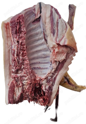 Porci grași - imagine 5