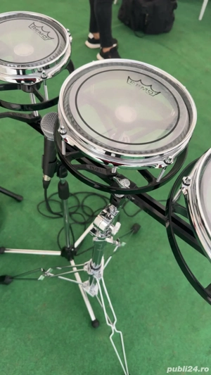 vand tobe remo originale 