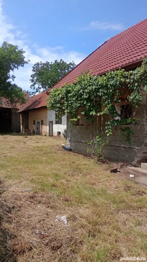 vând casa in Hârseni,Brașov  - imagine 4