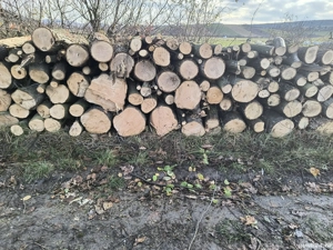 vand lemne de foc esenta tare transport la domiciliu 