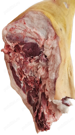 Porci grași - imagine 6