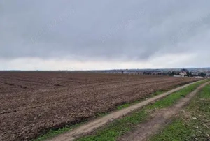 Vând teren agricol extravilan 