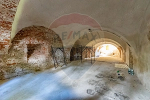 Conac aristocratic secolul XIX , domeniu  2,5 hectare — Păuliș, Arad - imagine 17