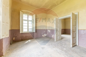 Conac aristocratic secolul XIX , domeniu  2,5 hectare — Păuliș, Arad - imagine 11