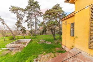 Conac aristocratic secolul XIX , domeniu  2,5 hectare — Păuliș, Arad - imagine 6