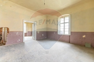 Conac aristocratic secolul XIX , domeniu  2,5 hectare — Păuliș, Arad - imagine 12