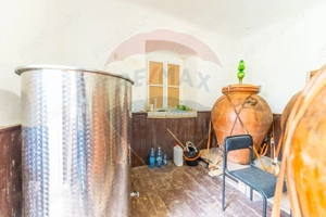 Conac aristocratic secolul XIX , domeniu  2,5 hectare — Păuliș, Arad - imagine 20