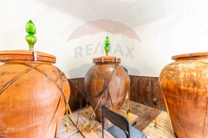 Conac aristocratic secolul XIX , domeniu  2,5 hectare — Păuliș, Arad - imagine 18