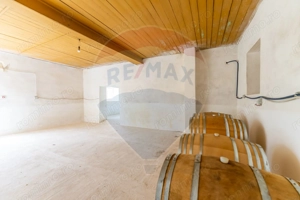 Conac aristocratic secolul XIX , domeniu  2,5 hectare — Păuliș, Arad - imagine 19