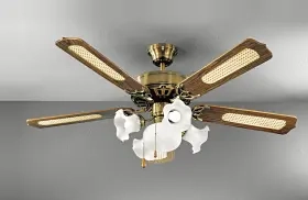 Elicopter de sufragerie