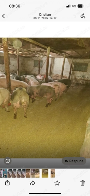 Schimbă locația sau pentru Craciun - imagine 2