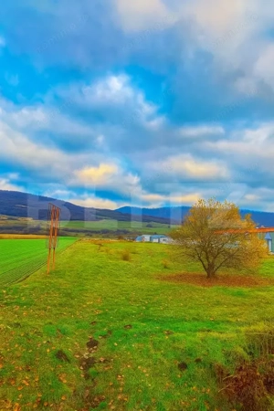 Teren de vânzare – 76 ari, front 11,5 m, la drumul european