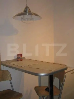 Apartament 2 camere | Parter | 41,79 mp utili | DOMENII - imagine 6