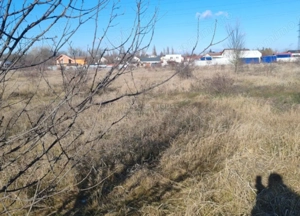 Teren Joita -  Bacu - Dragomiresti - imagine 4