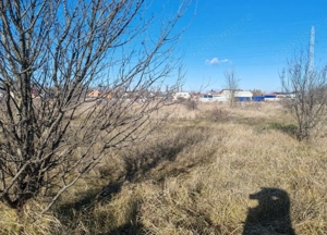 Teren Joita -  Bacu - Dragomiresti - imagine 5