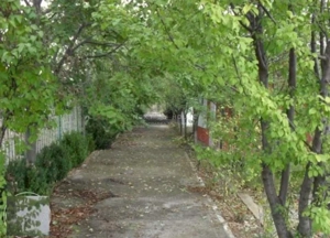 Teren la 35 km de Bucuresti - Izvorani - Ciolpani - imagine 5