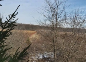 Teren la 35 km de Bucuresti - Izvorani - Ciolpani - imagine 11