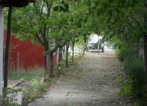 Teren la 35 km de Bucuresti - Izvorani - Ciolpani - imagine 15