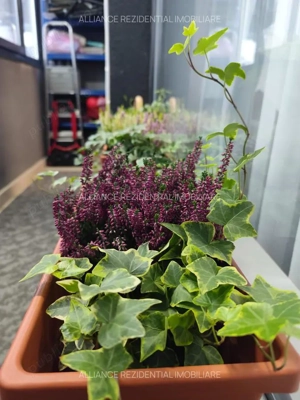 Apartament cu 2 Camere Berceni + Parcare  - imagine 8