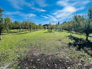 Teren Breaza central plat 840m2 75 000   - imagine 3