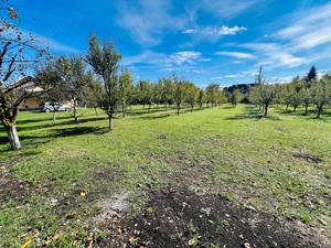 Teren Breaza central plat 840m2 75 000   - imagine 5