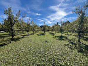 Teren Breaza central plat 840m2 75 000   - imagine 6