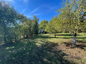 Teren Breaza central plat 840m2 75 000   - imagine 10