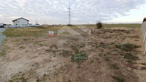 Teren Dumbrăvița cu front generos 24 ml - imagine 2