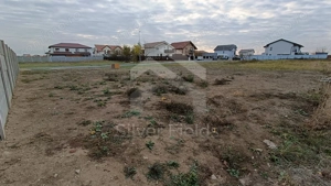 Teren Dumbrăvița cu front generos 24 ml - imagine 4