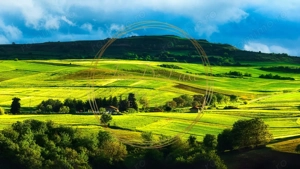 Teren intravilan, 2745 mp, utilitati, asfalt, priveliste, in Feleacu - imagine 6