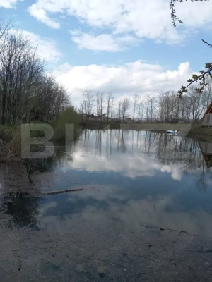 Teren cu iaz amenajat și două cabane A - frame în construcție - imagine 2