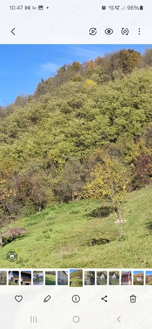 Vand la hondol  teren intravilan 5 euro mp 