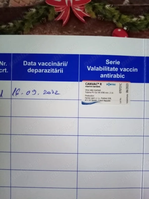 Câinii de vânzare  - imagine 4