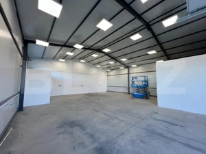 Hala 290,6 mp si 1263 mp teren, zona Carcea - imagine 10