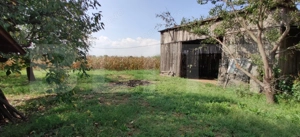 Casă 300 mp, teren 4.900 mp – Belinț - imagine 14