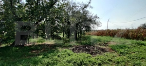 Casă 300 mp, teren 4.900 mp – Belinț - imagine 15