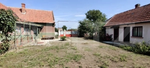 Casă 300 mp, teren 4.900 mp – Belinț - imagine 3