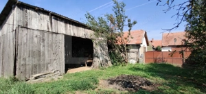 Casă 300 mp, teren 4.900 mp – Belinț - imagine 13