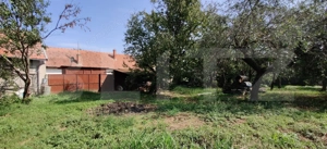 Casă 300 mp, teren 4.900 mp – Belinț - imagine 12