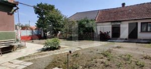 Casă 300 mp, teren 4.900 mp – Belinț - imagine 4