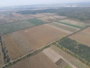 TEREN DE VÂNZARE   2,1 HECTARE în apropierea Pădurii Bistra - imagine 5